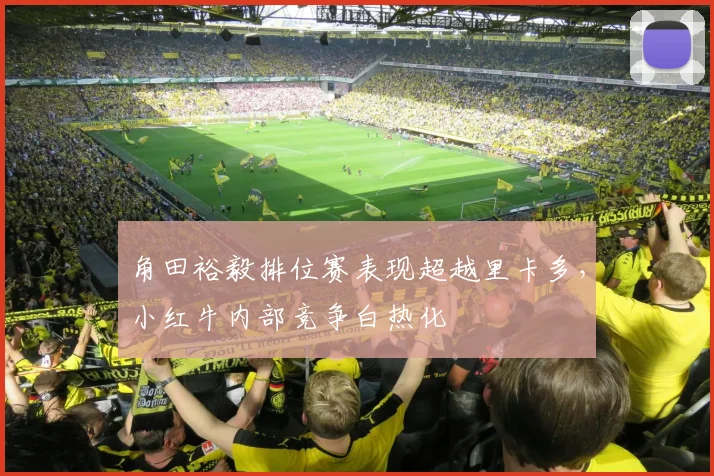 角田裕毅排位赛表现超越里卡多,小红牛内部竞争白热化