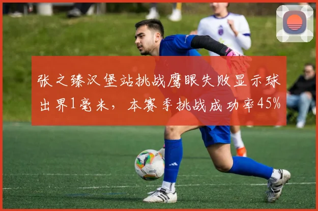 张之臻汉堡站挑战鹰眼失败显示球出界1毫米,本赛季挑战成功率45%低于巡回赛均值12%